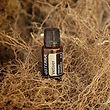 Vetiver.jpeg