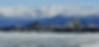 anchorage-71798_edited_edited-min.jpg
