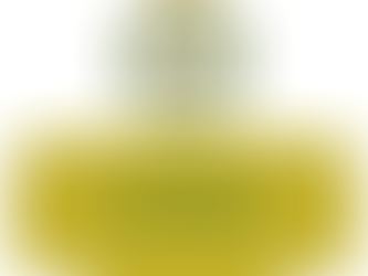 AUDIT PROCESS !!! (27th January, 2026)