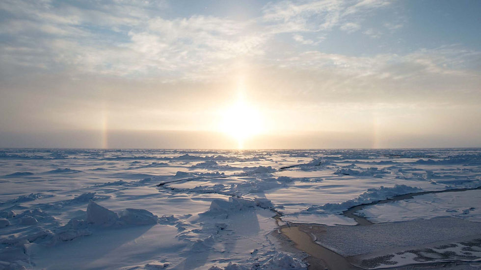 Arctic