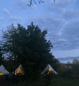 IMG_2224.jpeg