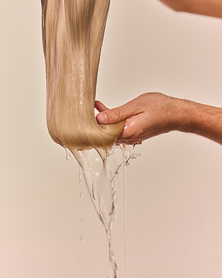 Echthaarperücken waschen, Moneri Hair.png