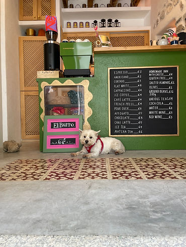 Coffee Shop El Burro Frigiliana.jpeg