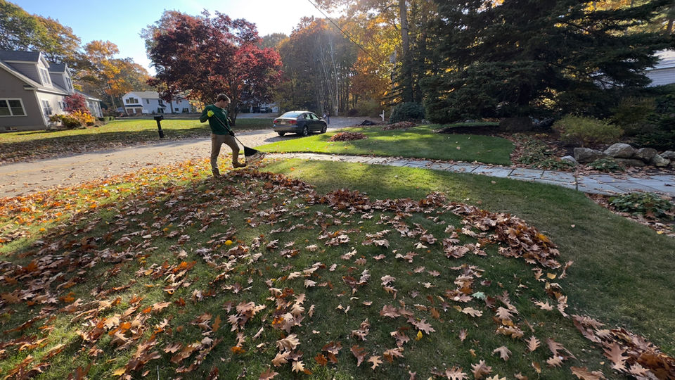 Maple Court employee performing a fall cleanup in Acton Ma and leaving a clean look on the front yard. 