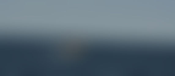 Schwimmen mit den BIG 3 und Sunset Whale Watching