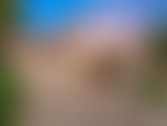 7785 N 78th St Scottsdale, AZ 85258