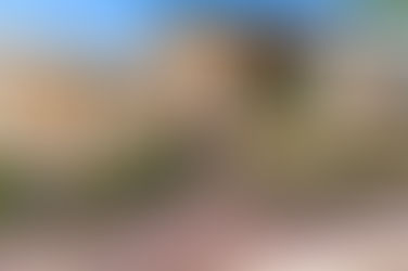 18650 N Thompson Peak Pkwy 2074 Scottsdale, AZ 85255