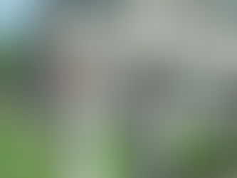 Een live schilderij van jullie bruiloft in Limburg