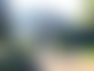 Droomlocaties voor het maken van jullie trouwfoto’s in Midden Limburg