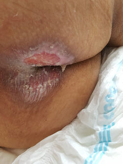 WhatsApp Image 2019-05-26 at 12.59.09