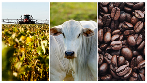 Expectativa do Agronegócio no Brasil para 2025 e os Desafios Superados de 2024