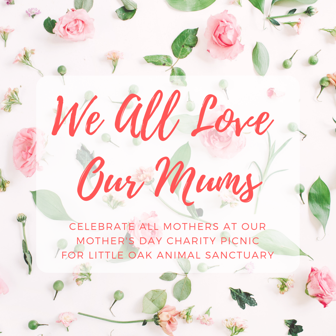 Mother's Day Picnic