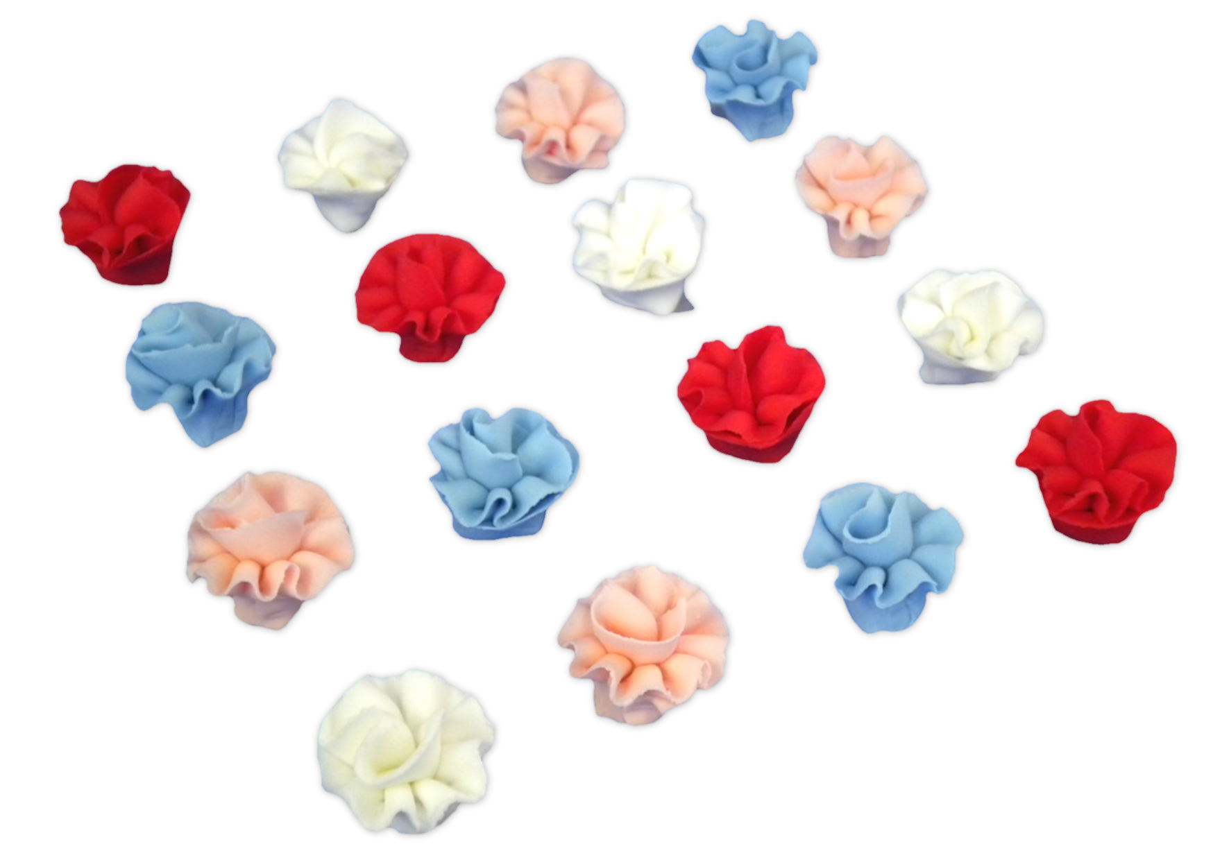 FLOWERS - CARNATIONS