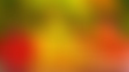 Gartenzeitung 11/2025