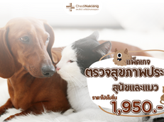 ตรวจสุขภาพประจำปีสุนัขและแมว