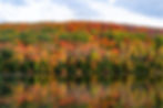 thick landscape of colorful fall foliage reflecting on lake