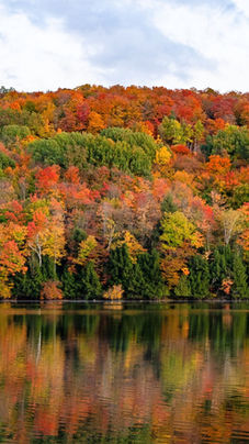 13 Best Vermont Fall Foliage Spots