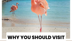 Why You Should Visit Progreso, Mexico