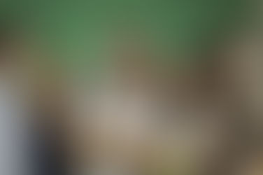 "Quero ter um milhão de amigos", a nova série da TV Brasil