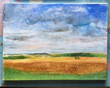 Feld in Rechtenbach