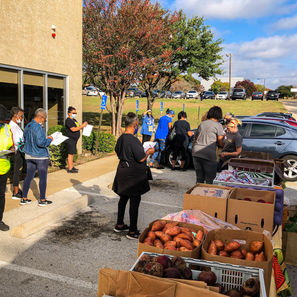 Moorland Family YMCA at Oak Cliff (November 16, 2021C). Our November survey's first day of release.