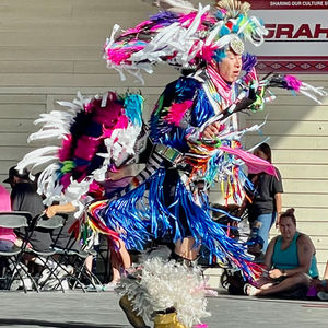 Indigenous Metis Imagination