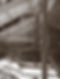 Services_1.jpg