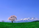 岩手山.jpg