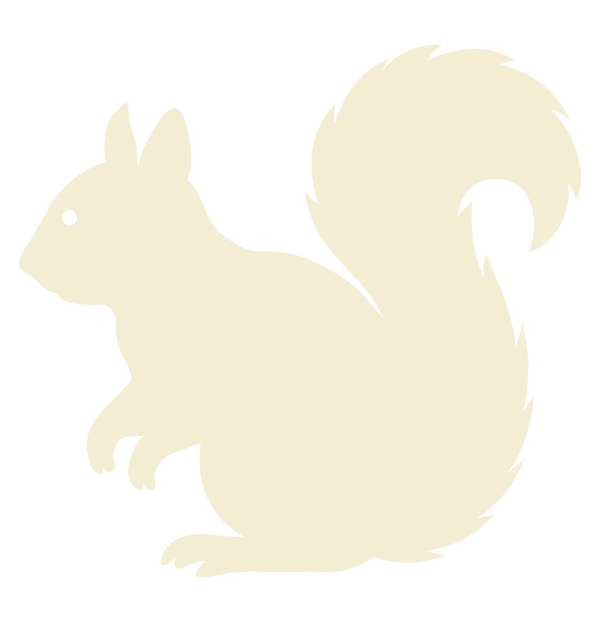 sQUIRRELS Class page_edited.png