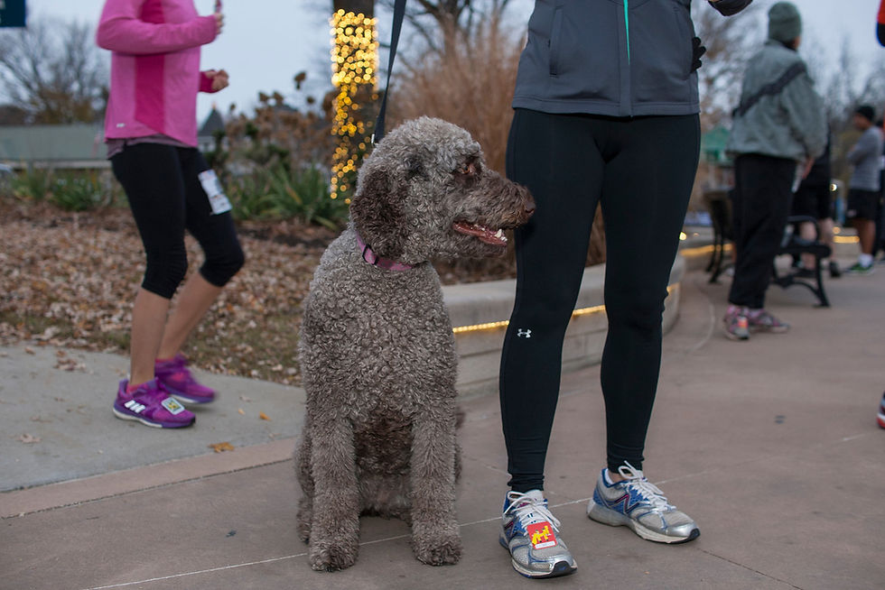 My dog Jasmine sits beside a runner in black leggings at an outdoor park, with other walkers and glowing lights behind.