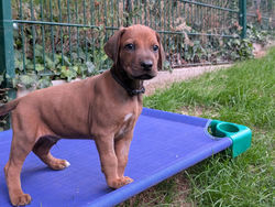 PXL_20250730_184213756