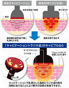 Cavi-FR | kiyonoheya Cavi-FR | kiyonoheya