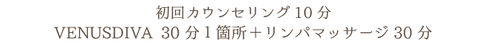 美ボディT内容.png