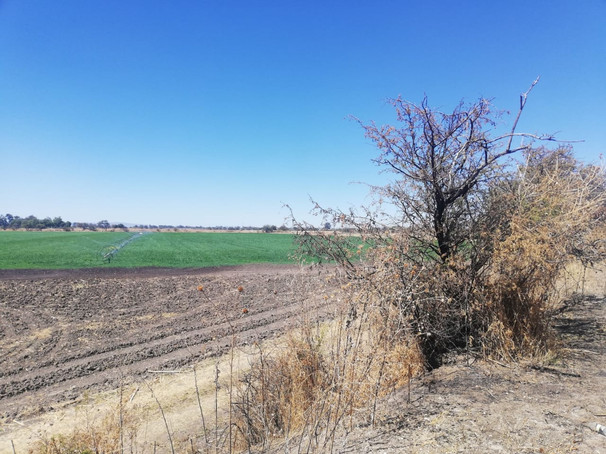 Terreno Sta. Ana del Conde 4 hectareas venta home-dina inmobiliaria bienes inmuebles leon