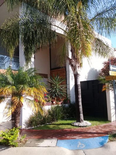 Pedregal del Gigante Pedro Chavira 19.jpeg