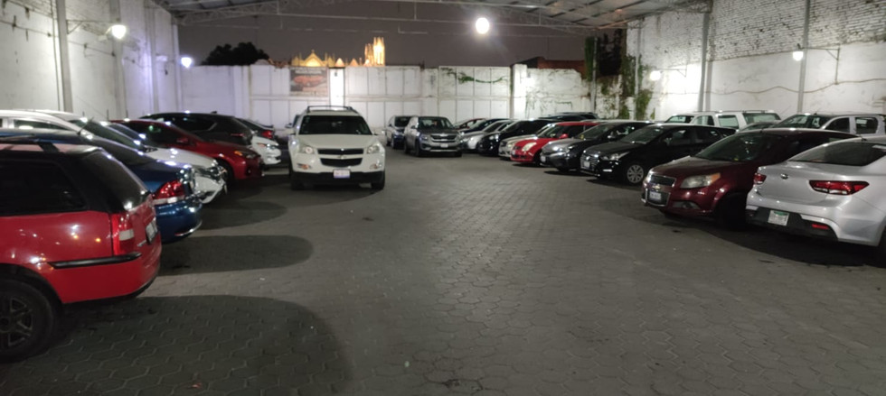 estacionamiento-venta-home-dina-inmobiliaria-bienes-raices-len-gto-2.jpeg