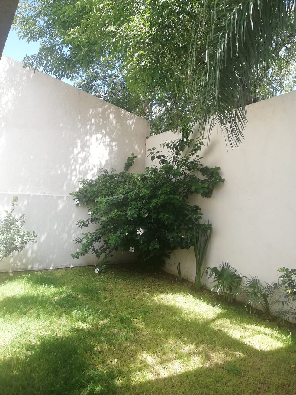 Punto Verde Casa Venta inmobiliaria home-dina bienes raíces león gto (6).jpeg