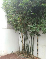 Lomas del Refugio Casa Venta home-dina inmobiliaria bienes raices león gto 21.jpeg