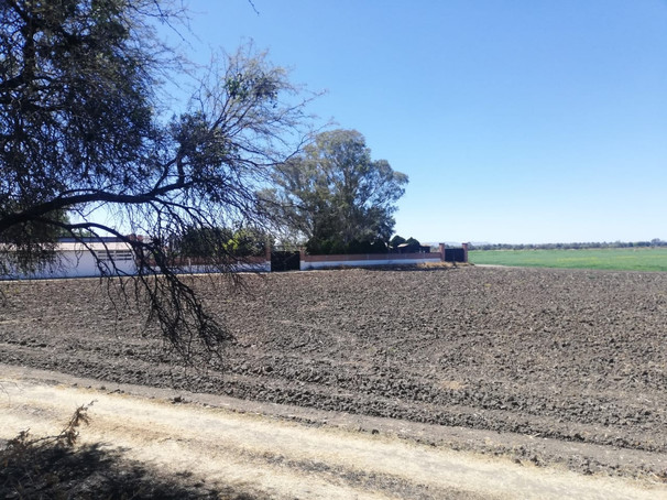 Terreno Sta. Ana del Conde 4 hectareas venta home-dina inmobiliaria bienes inmuebles leon