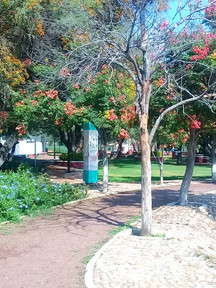 El Dorado Casa Venta home-dina inmobiliaria bienes raices leon gto 17.jpeg