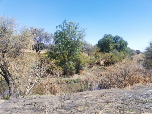 Terreno Sta. Ana del Conde 4 hectareas venta home-dina inmobiliaria bienes inmuebles leon