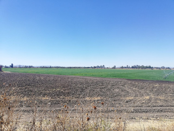 Terreno Sta. Ana del Conde 4 hectareas venta home-dina inmobiliaria bienes inmuebles leon