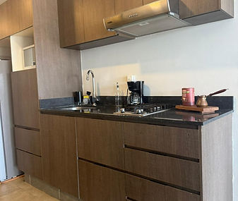 Naran Departamentos Renta amueblado home-dina inmobiliario bienes raÃces leon gto 2ba.jpg