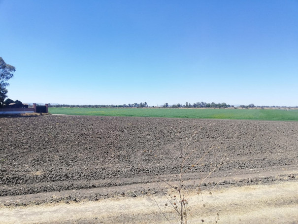 Terreno Sta. Ana del Conde 4 hectareas venta home-dina inmobiliaria bienes inmuebles leon