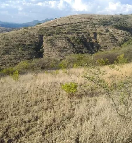 terreno-cubilete-venta-hectreas-home-dina-inmobiliaria-bienes-raices-leon-gto-2.jpeg