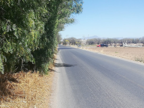 Terreno Sta. Ana del Conde 4 hectareas venta home-dina inmobiliaria bienes inmuebles leon