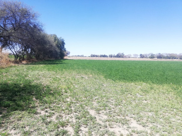 Terreno Sta. Ana del Conde 2.5 hectareas 2.5 venta home-dian inmobiliaria bienes raices le