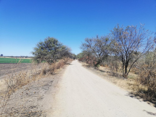 Terreno Sta. Ana del Conde 4 hectareas venta home-dina inmobiliaria bienes inmuebles leon