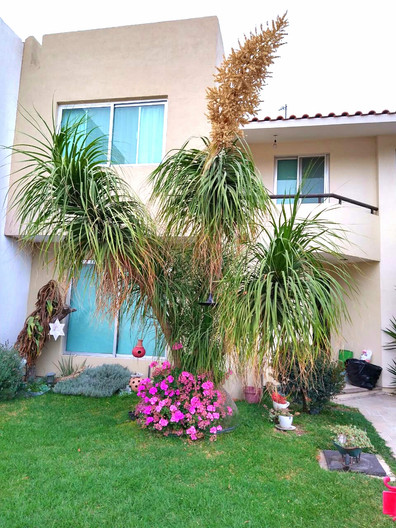 Pedregal del Gigante casa venta home-dina inmobiliaria bienes raices león gto 36.jpeg