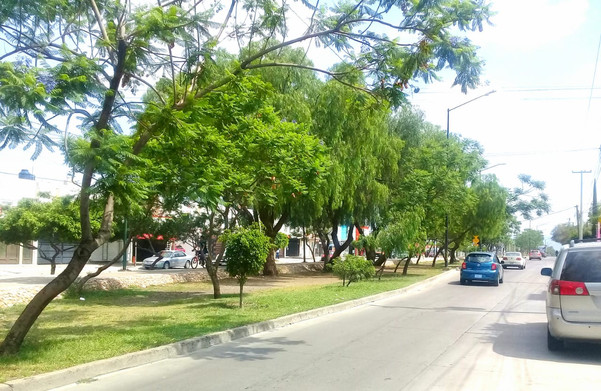 Paseo del Jerez home-dina inmobiliaria casa venta leon gto 1.jpeg